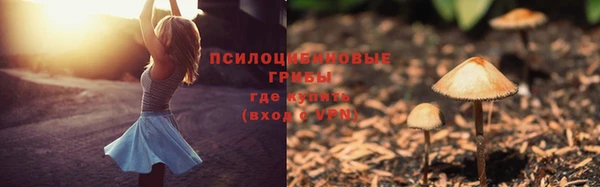 ешки Бородино