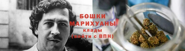 ешки Бородино