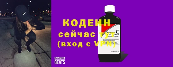 ешки Бородино